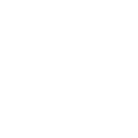 Primary Hover Image