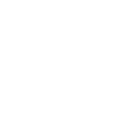 Primary Hover Image